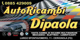 PULEGGIA ALBERO MOTORE ORIGINALE ALFA ROMEO 147 156 159 1.9 2.0 MULTIJET MJT